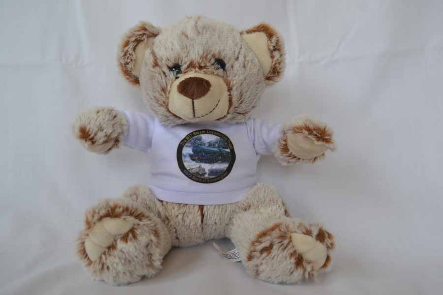 Sandy Teddy Bear and Tee shirt